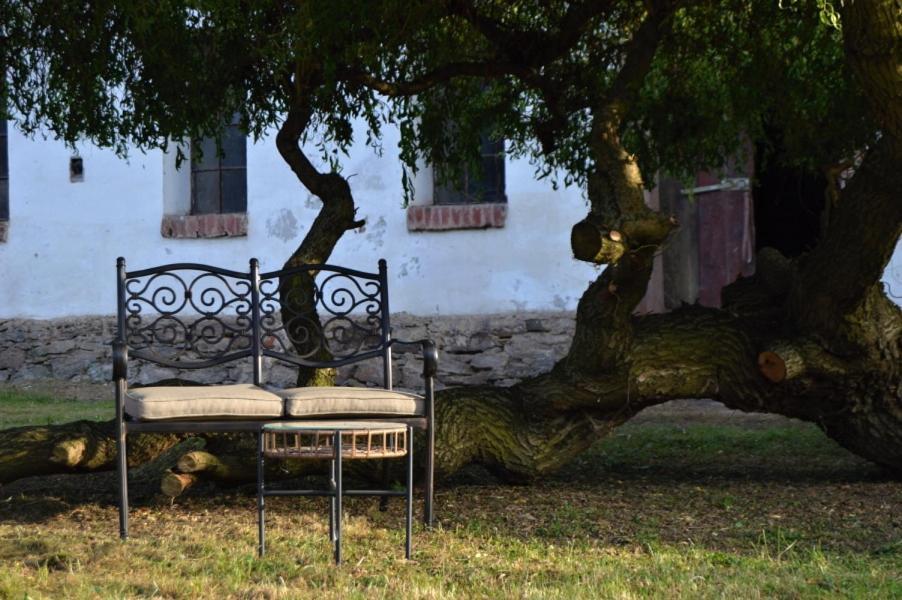 Bohemica Apartman 4 Kouřim Dış mekan fotoğraf